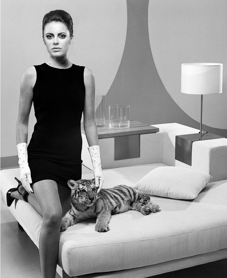 Portfolio - Christian Guay