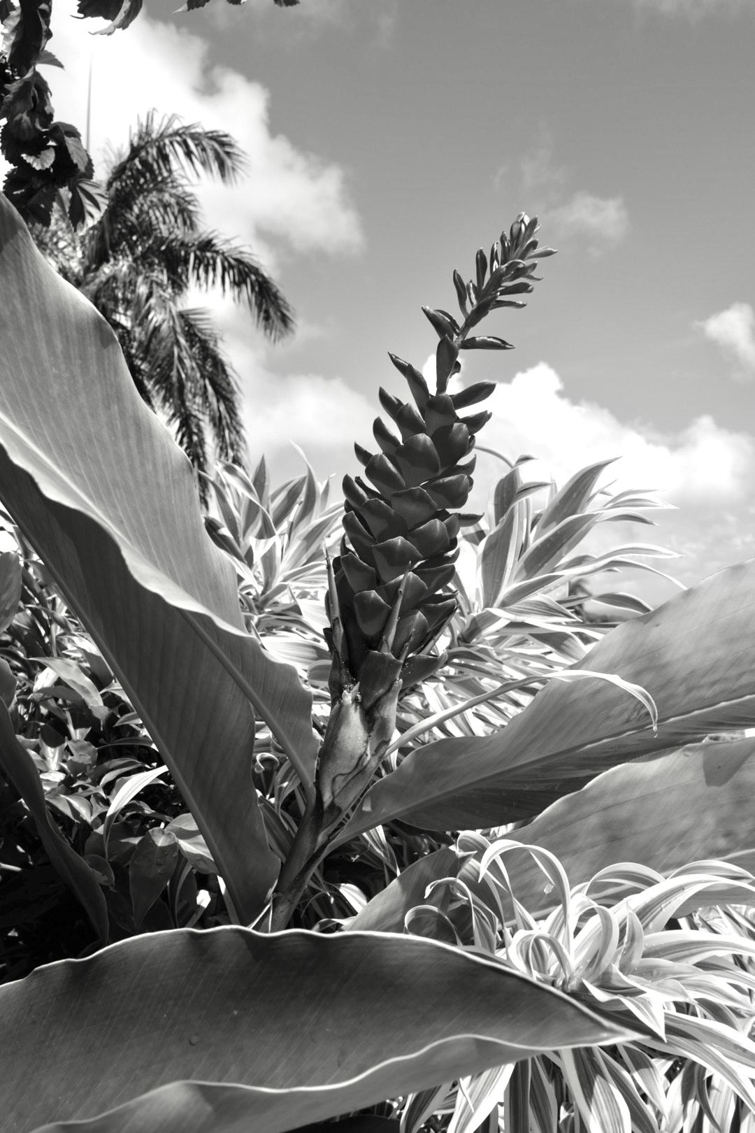 Portfolio - Christian Guay