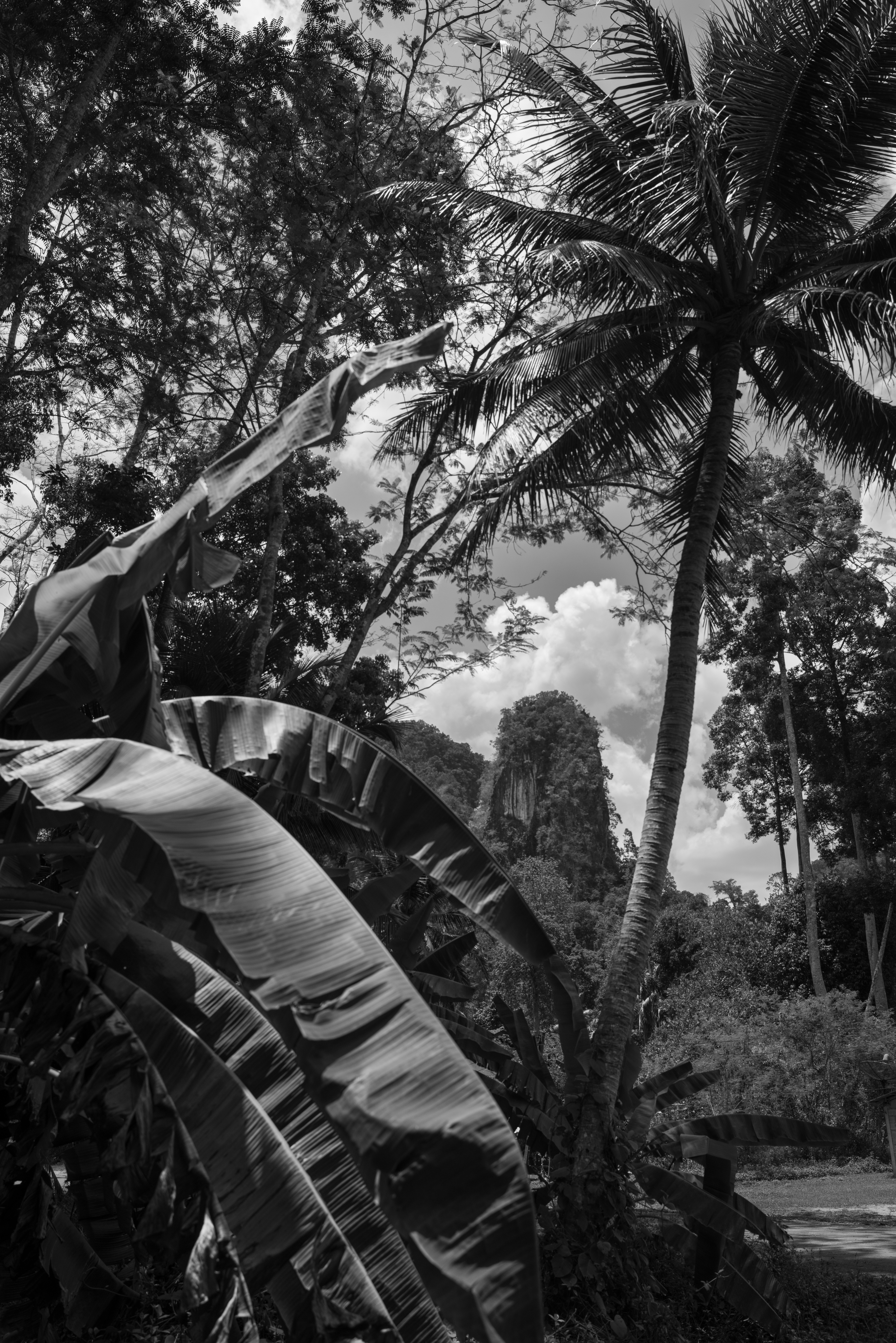 Portfolio - Christian Guay