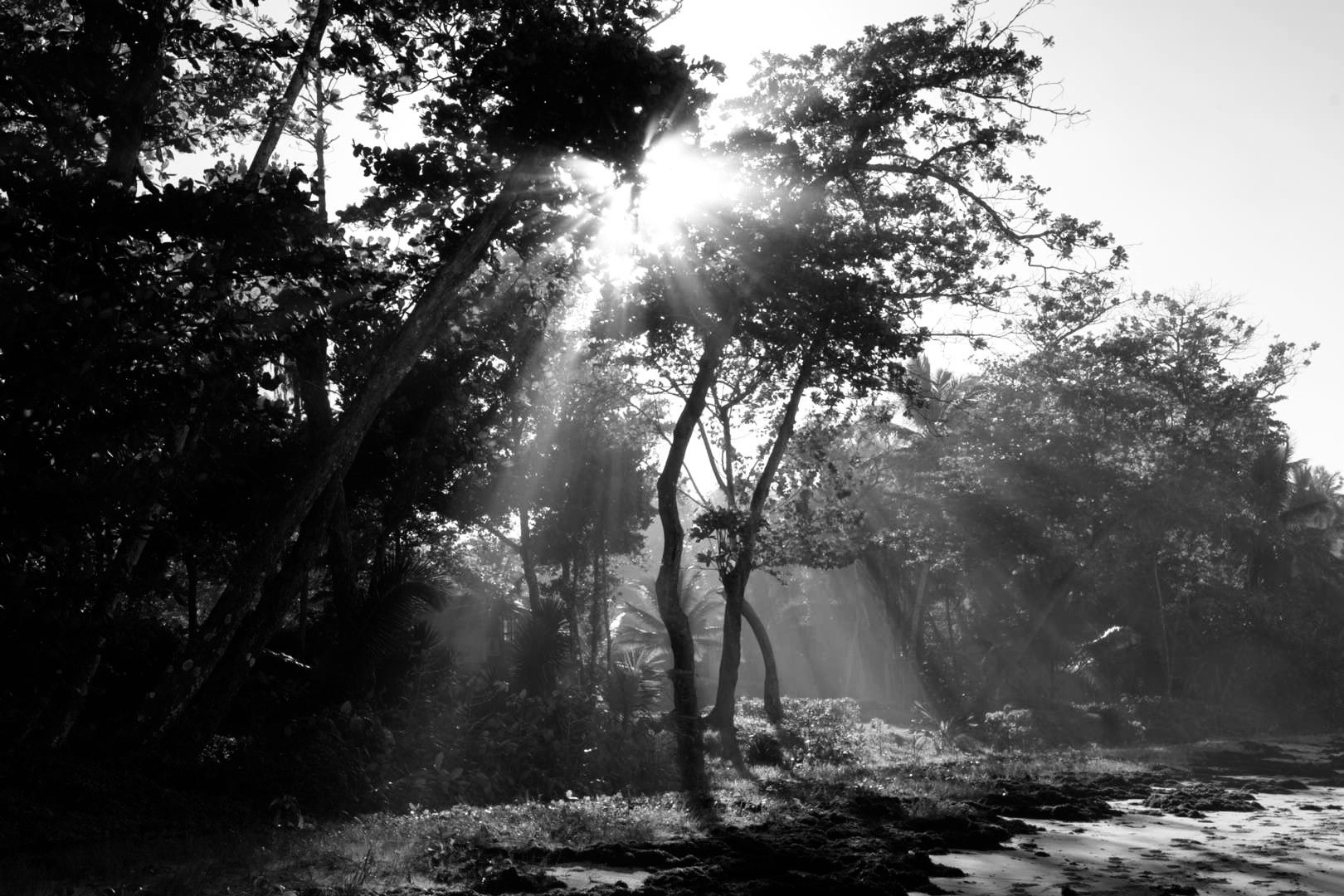 Portfolio - Christian Guay