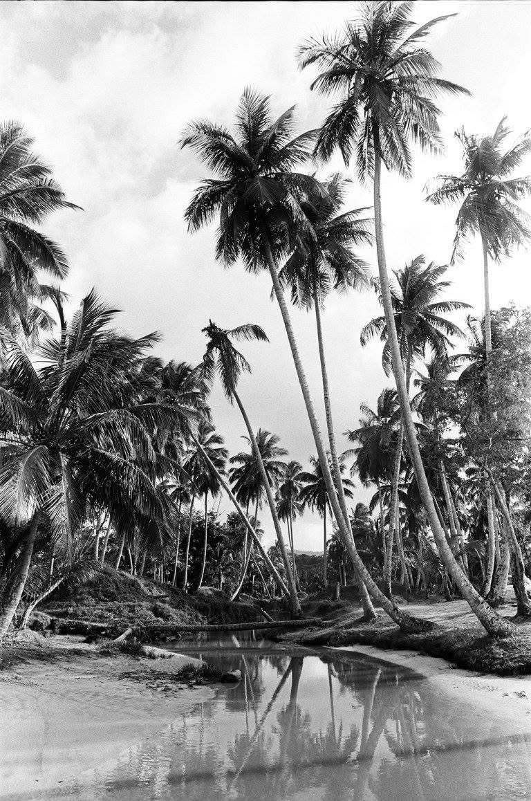 Portfolio - Christian Guay